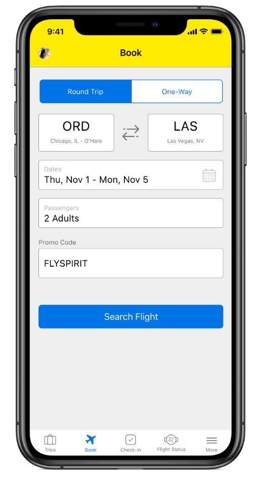 Spirit Airlines